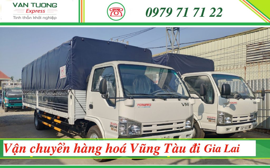 Vận chuyển hàng hoá Vũng tàu đi Gia Lai